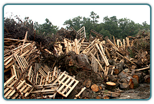 Biomass Waste - Biomass Gasification - Biomass Power Solutions | WES  International