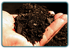 biochar