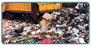 municipal solid waste